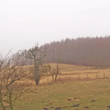 Awesome In With Kitchen 萨斯尼茨